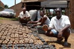 Mike and his briquettes when drying Mike and his briquettes when drying