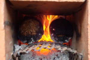 2 briquette feed closeup 